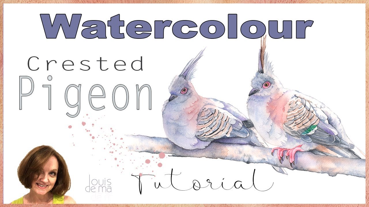 Watercolour Pigeon Demonstration // How to Paint a Pigeon in Watercolour //  Louise De Masi