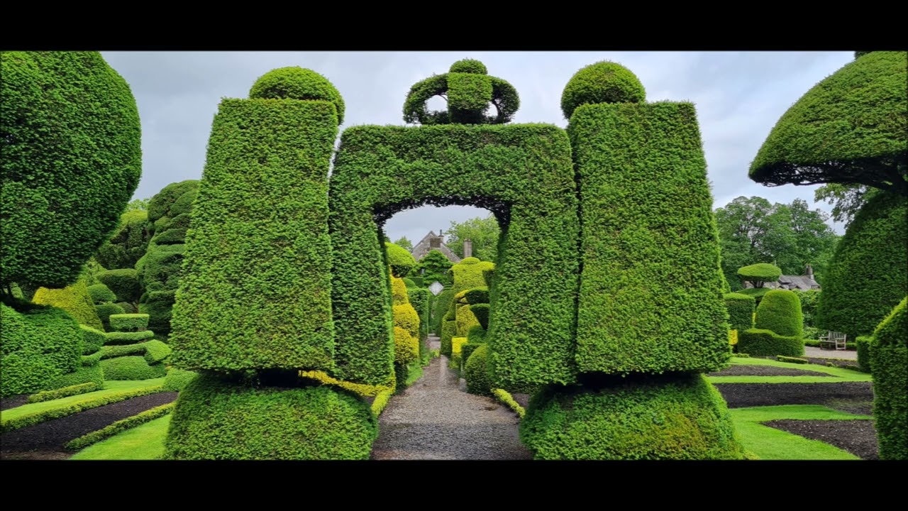 Levens Hall : a topiary wonderland. June 2025