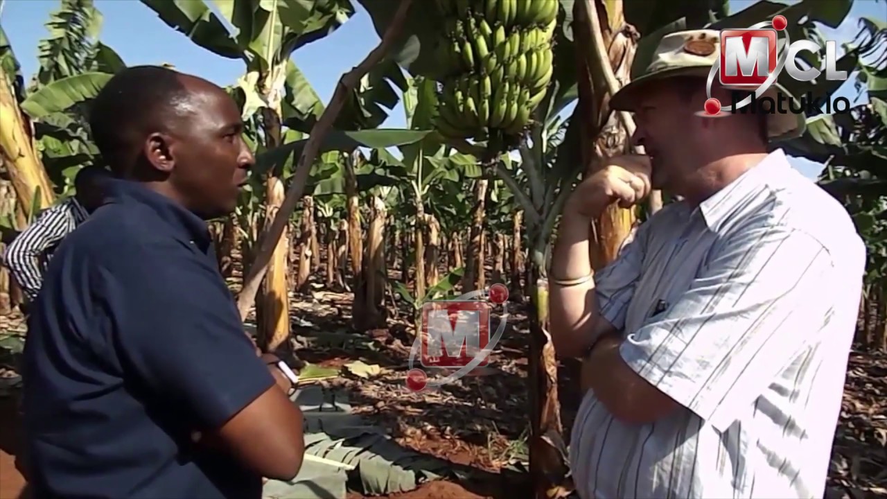 KIWANDA KIKUBWA CHA KUSINDIKA MATUNDA/JUISI KUANZISHWA HANDENI