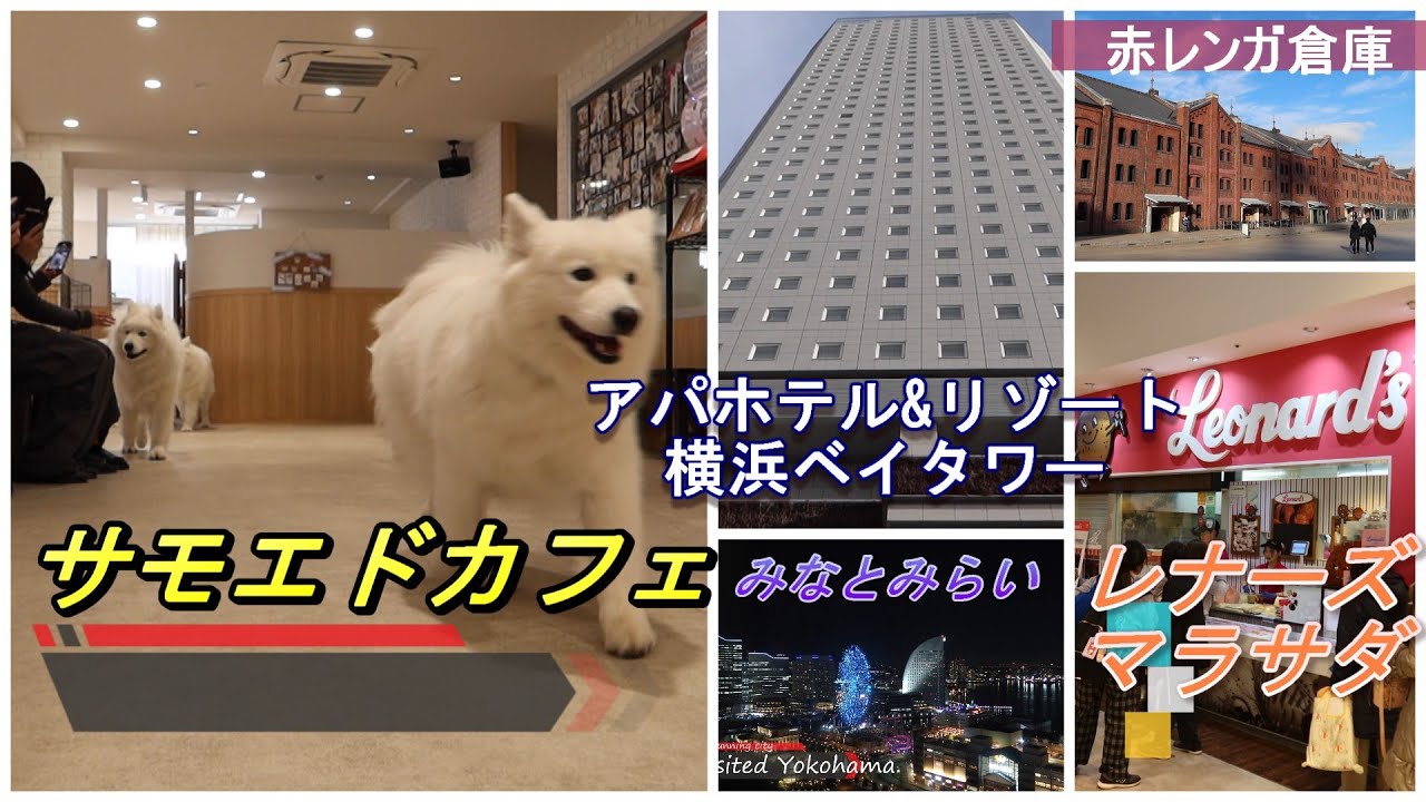 Samoyed Cafe APA Hotel & Resort (Йокогама Бэй Тауэр)