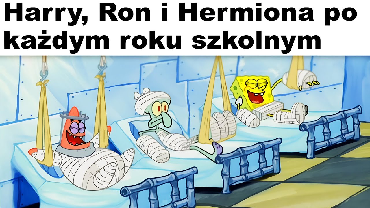 Harry Potter MEMY