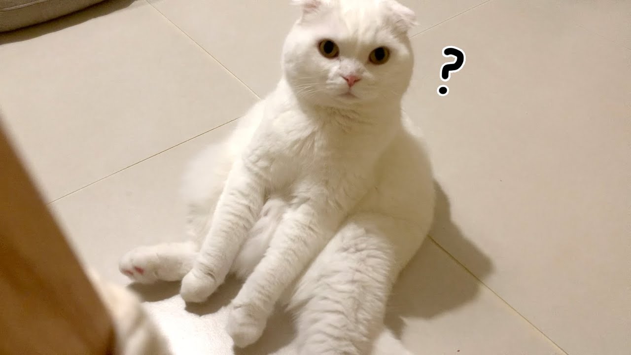 맨날천날 앉아있으면 어때?