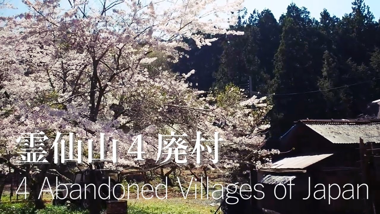 霊仙山の桜咲く美しい４つの廃村（桃原　向之倉　入谷　後谷）Four beautiful abandoned villages in Mt. Reisen in Japan