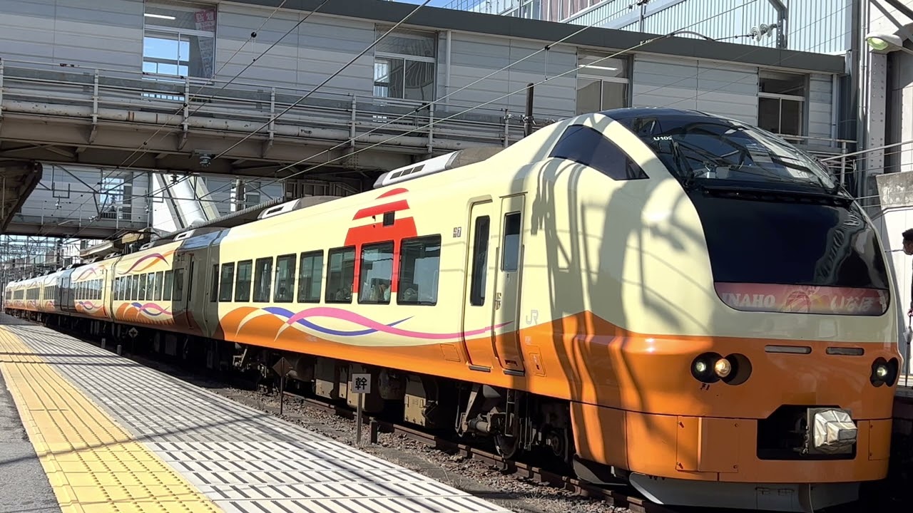 【JR】9153M E653系1000番台U-102 『東北新幹線運転見合わせに伴う救済臨時快速』 那須塩原発車