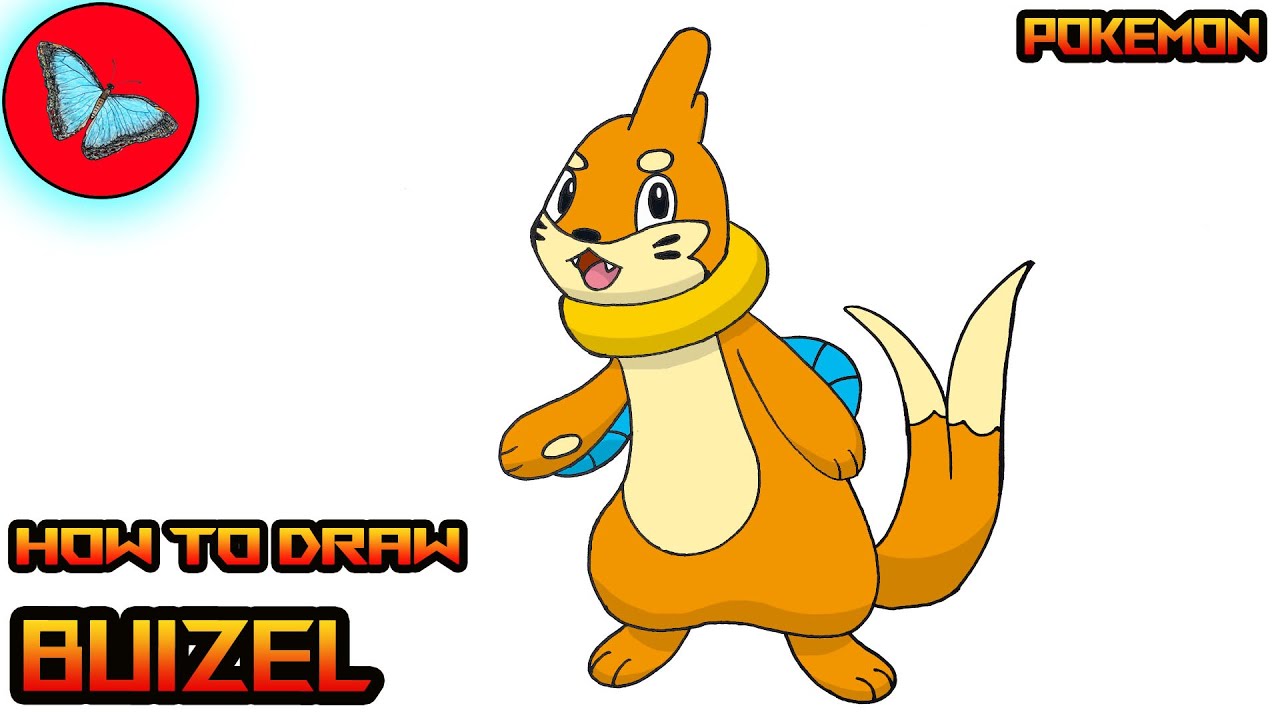 How To Draw Pokemon - Buizel