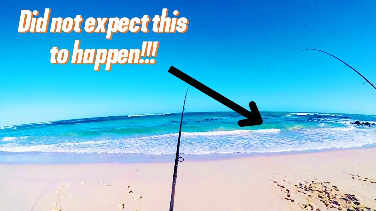 Pearly beach / Did not expect this!!! something New# steenbras redbait