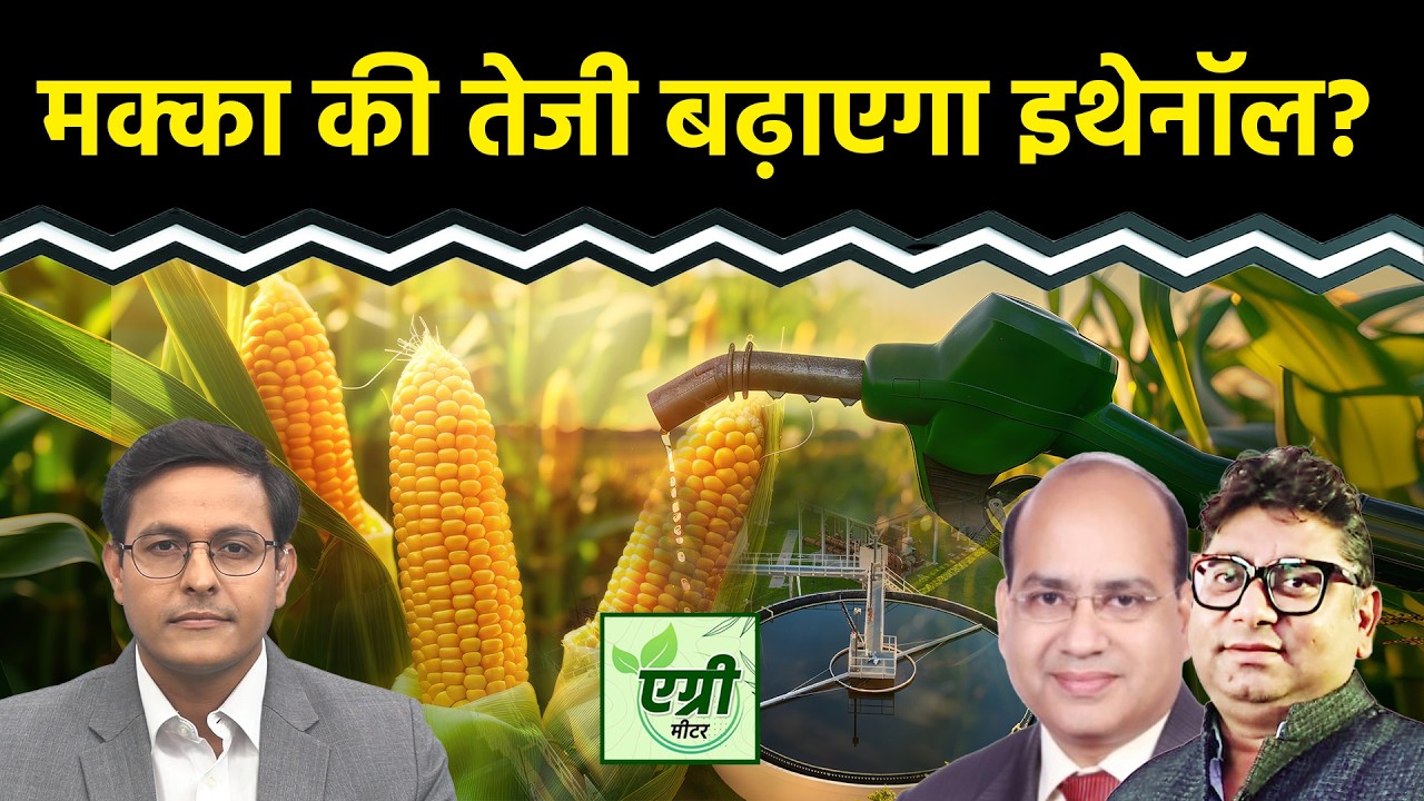 Agri Commodity : NCDEX पर किस एग्री कमोडिटी में करें खरीदारी या बिकवाली? Commodity Market