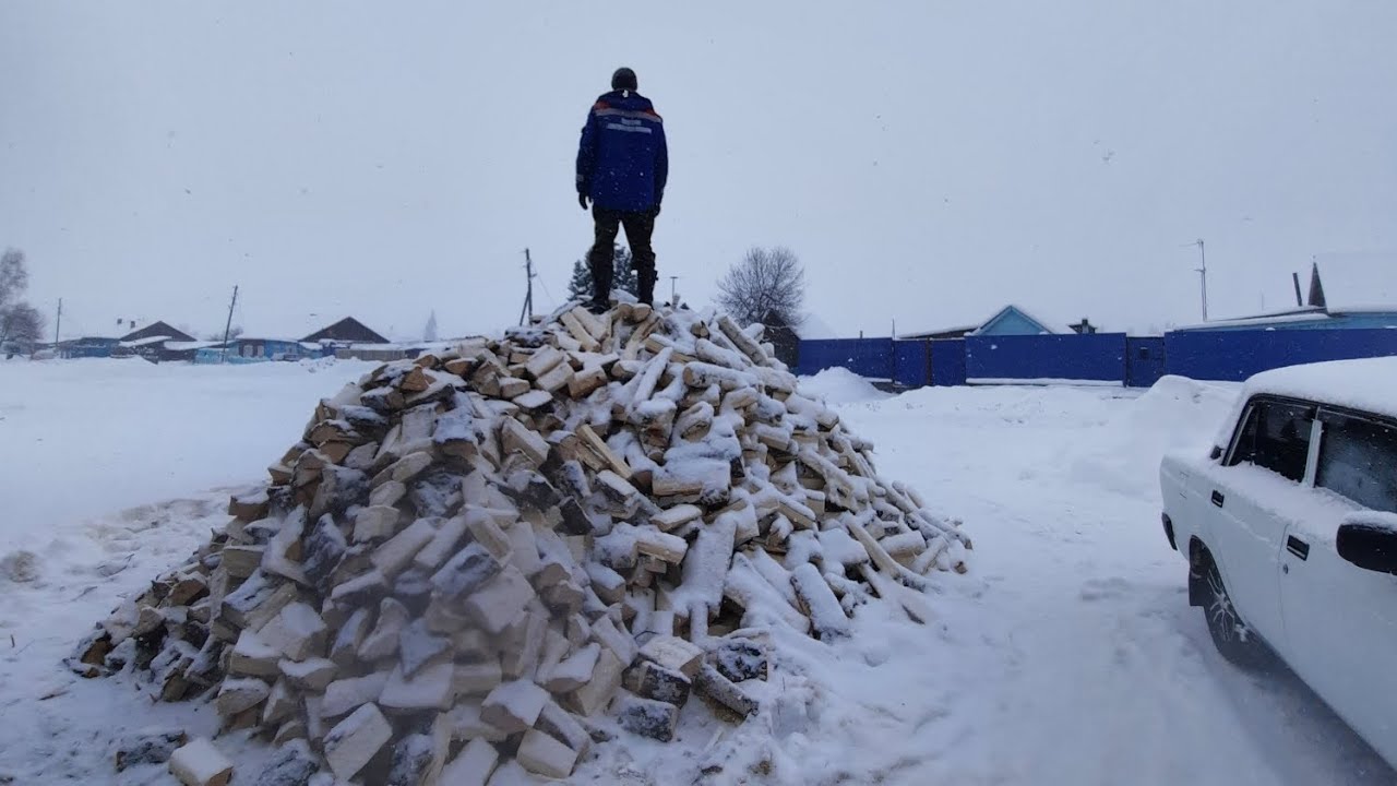 У меня была собака....Новый год в деревне и заготовка дров.