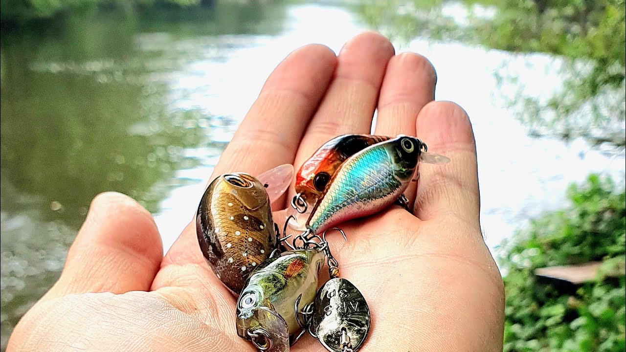 Fishing Heaven For BIG CHUB, BIG PERCH And Trout On Cranks!!!