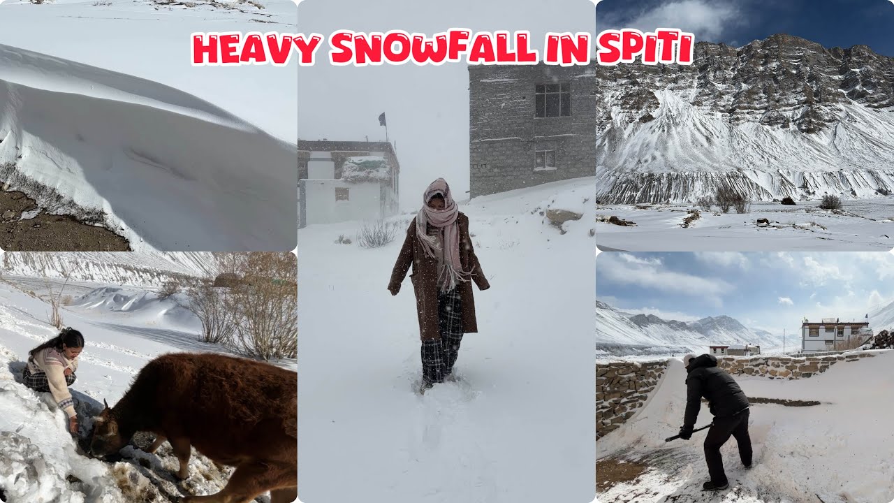 -25°C❄️🥶First Heavy Snowfall In Spiti 📸🌨️ | Surviving Winter In Spiti | Snowfall In January #snow 