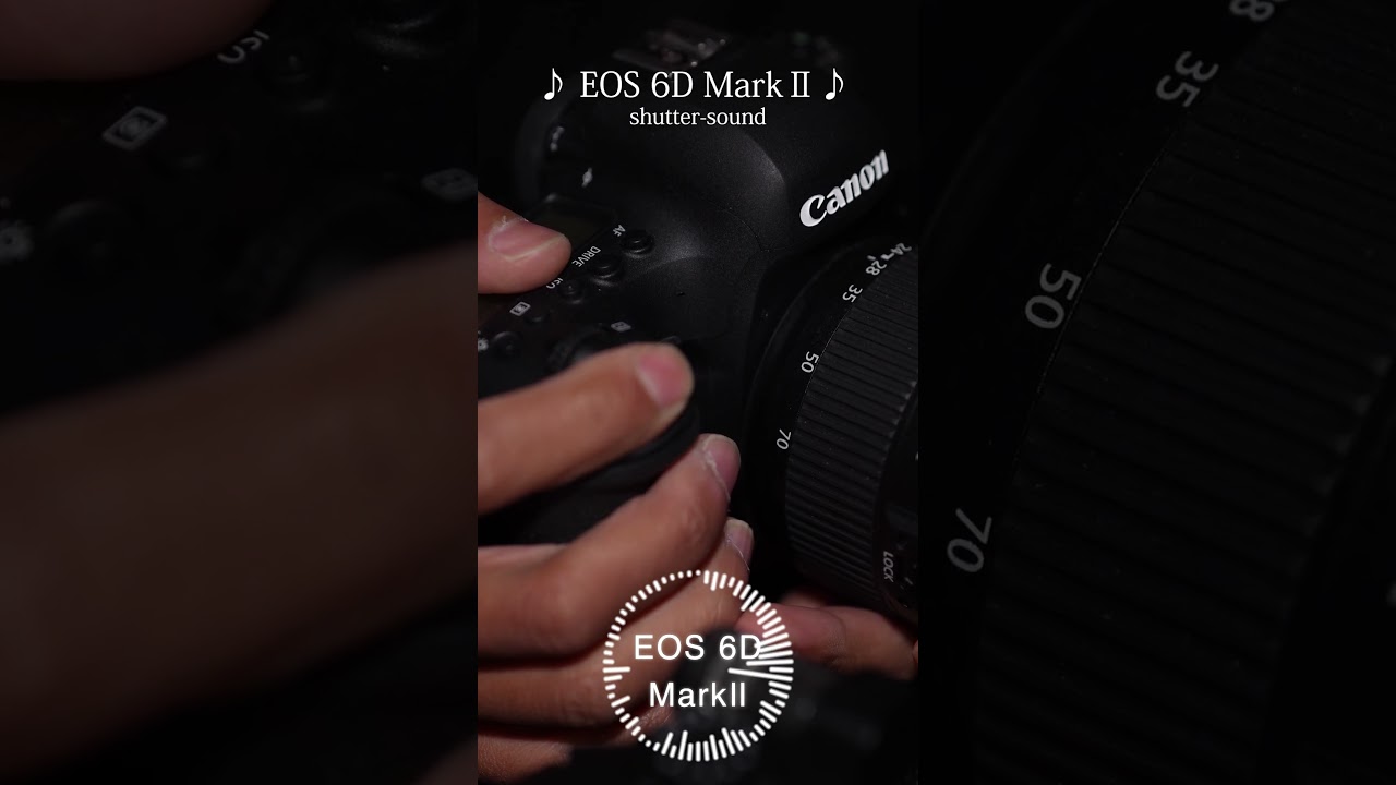 Canon EOS 6D Mark2 shutter sound 2