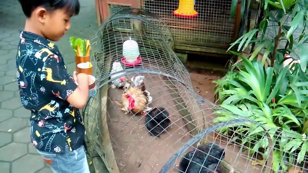 EXPLORE GEMBIRALOKA ZOO