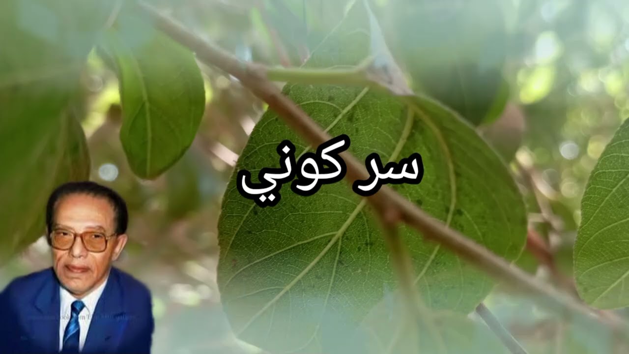 سر كوني