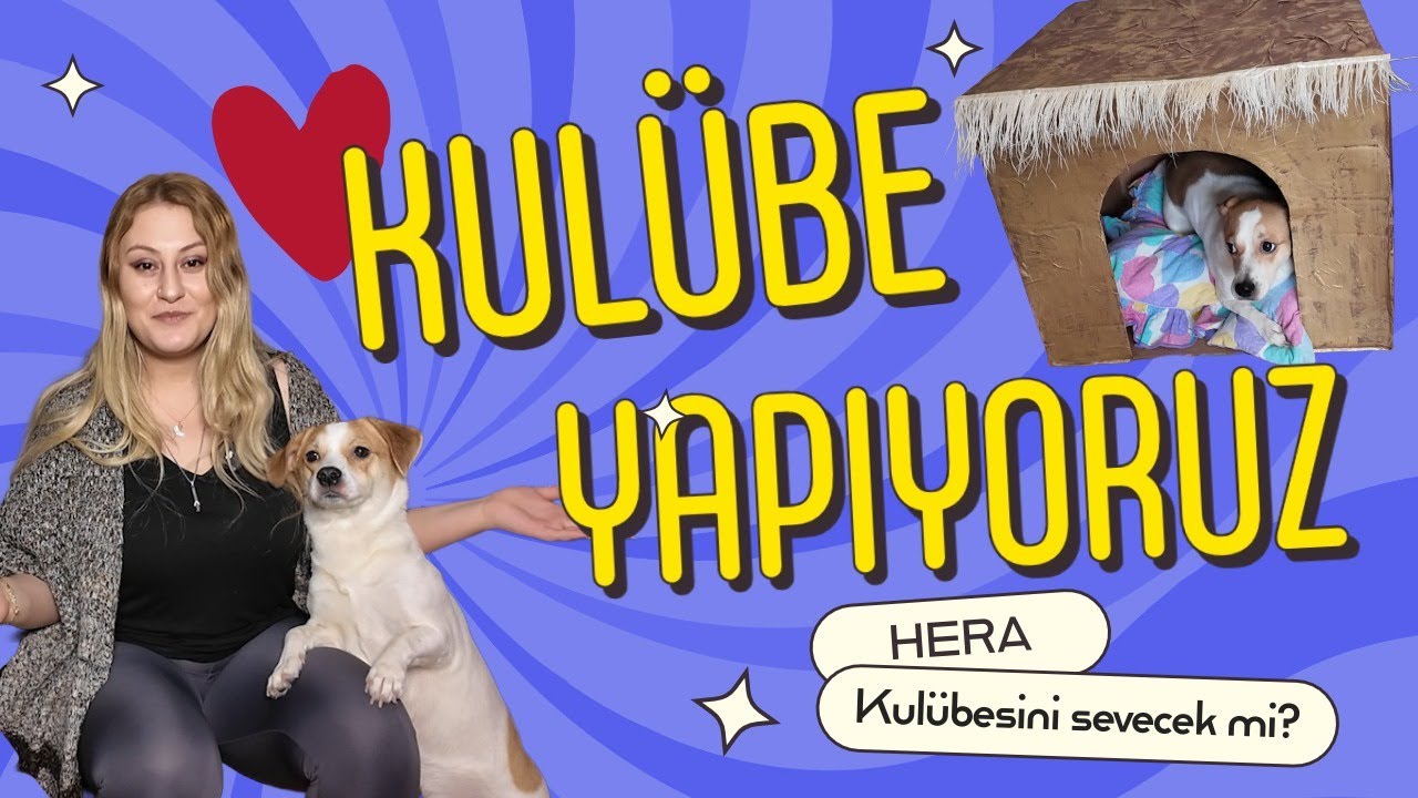 KÖPEK KULÜBESİ YAPIYORUZ - (KENDİN YAP)