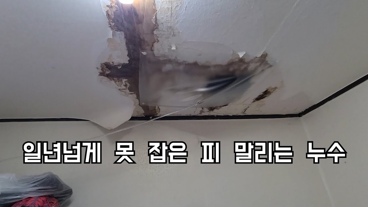 179회.  일년넘게 못 잡은 누수  (답십리누수현장)