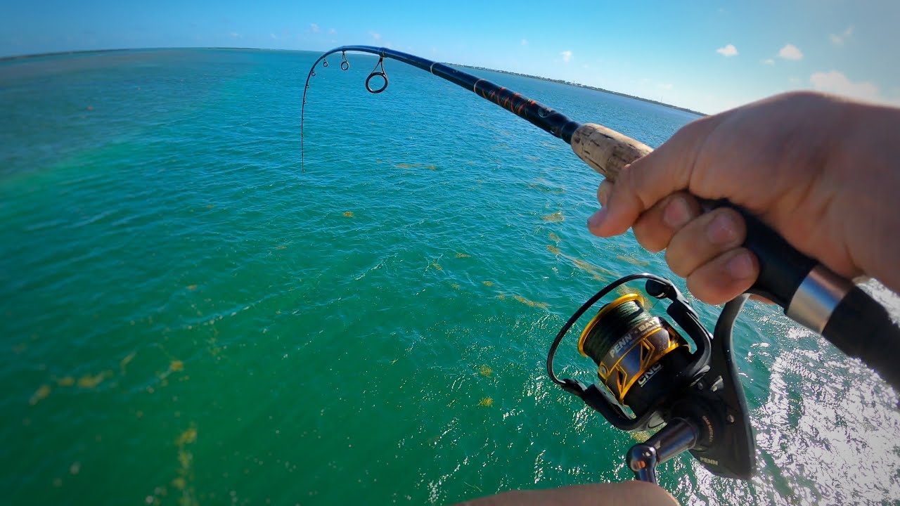 This BRIDGE Was LOADED With FISH! (Florida Keys Multispecies Bridge Fishing)