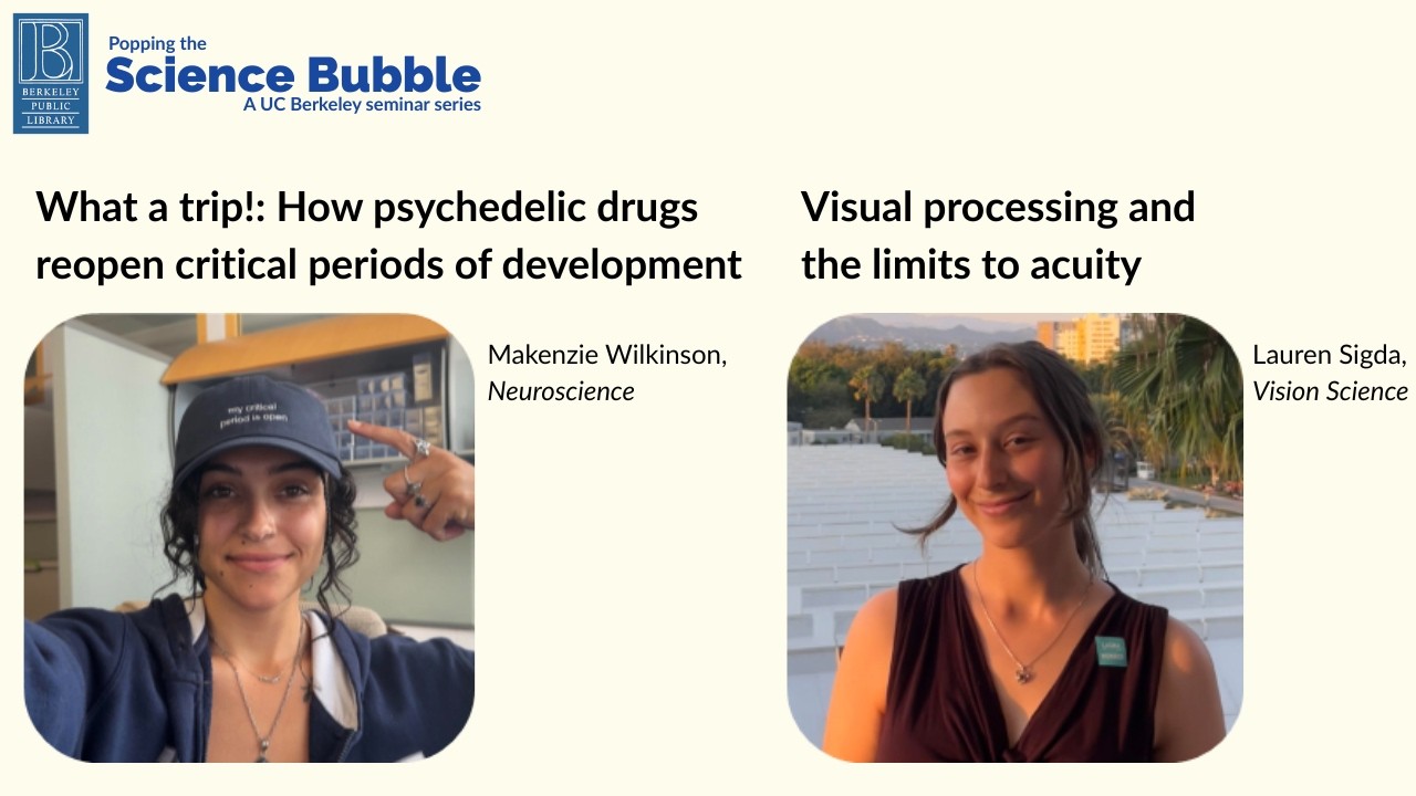 February 2026: Psychedelics, Critical Periods, and Visual Acuity
