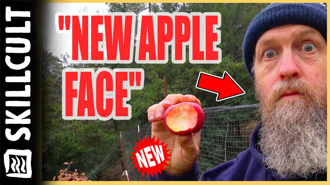 Playing God In the Apple Orchard, Who Dies, Who Reproduces