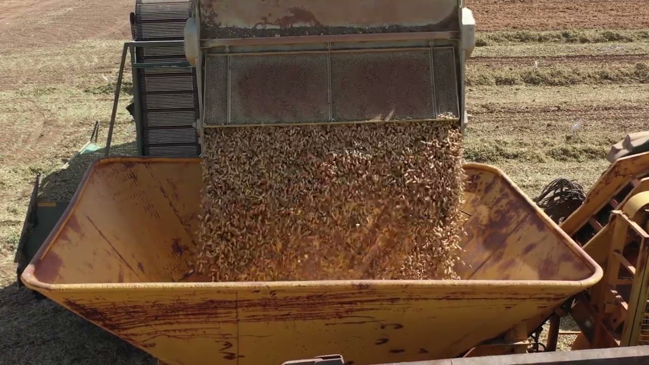 AGRO INFO | 25.08.2025 | TV Republika