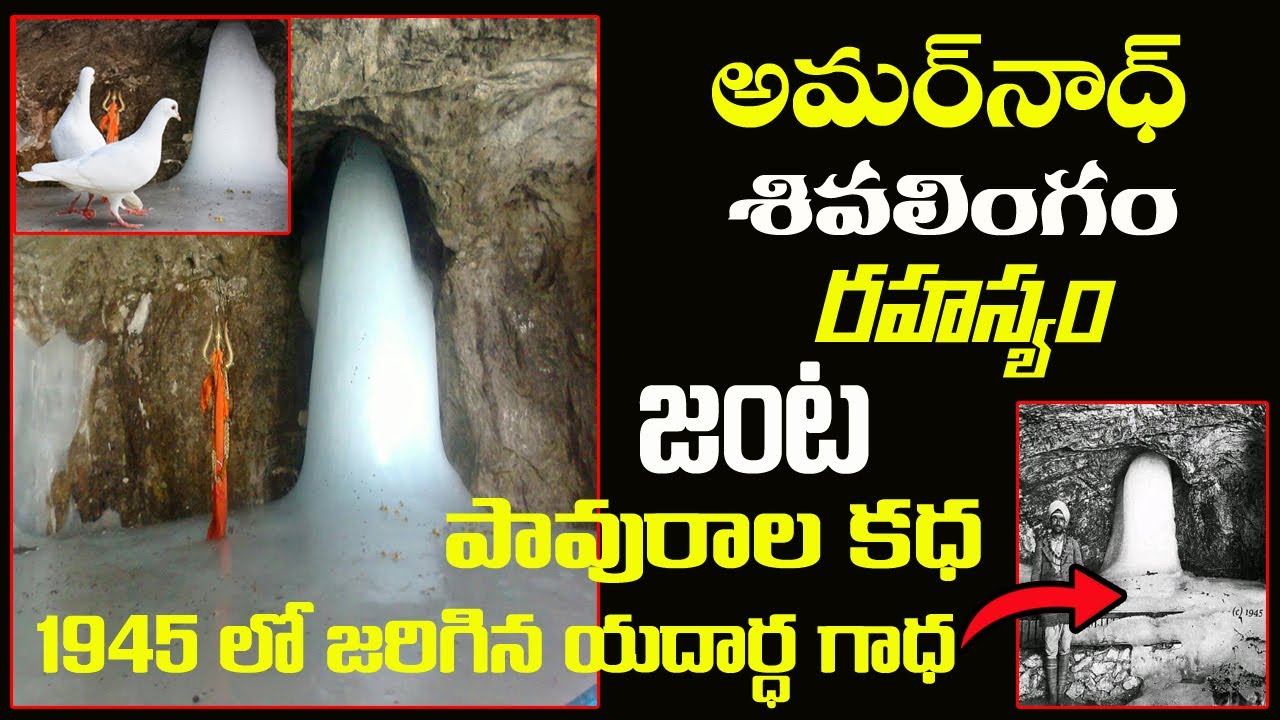 amarnath cave mystery | amarnath temple secret | amarnath real pigeon story amarnath yatra 2023