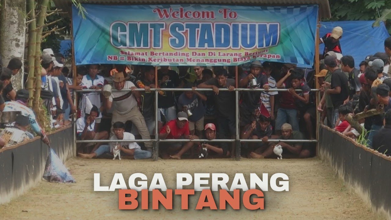 RABBIT RACE/KERAPAN KELINCI (GMT TEAM STADIUM)🔥🔥