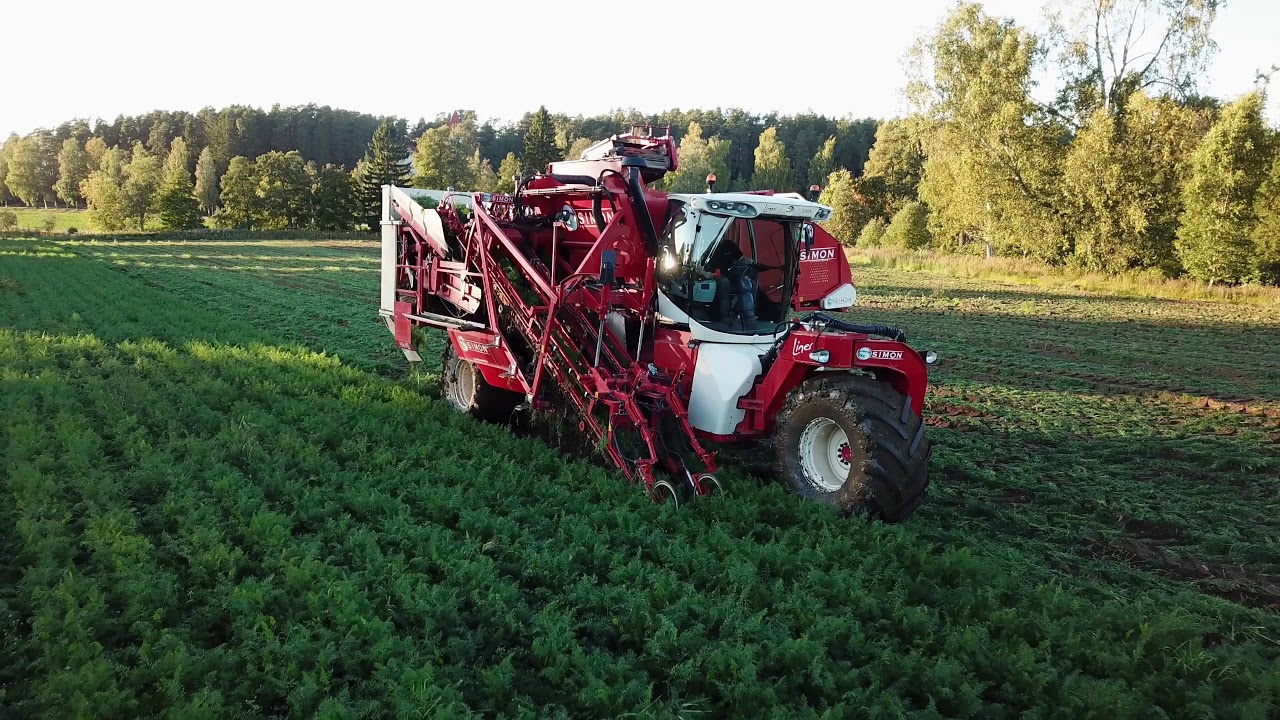 Porkkanan kylvöä/nostoa Kestin tilalla 2020