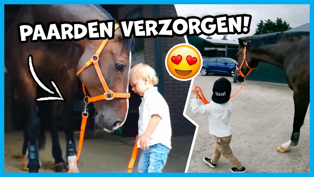 🐴 PAARDEN VAN ONS NICHTJE & TANTE VERZORGEN! Vlog #155