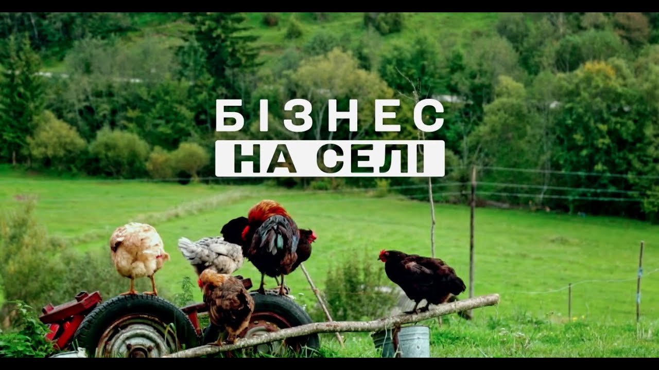 🧀Бізнес на селі. Випуск 1