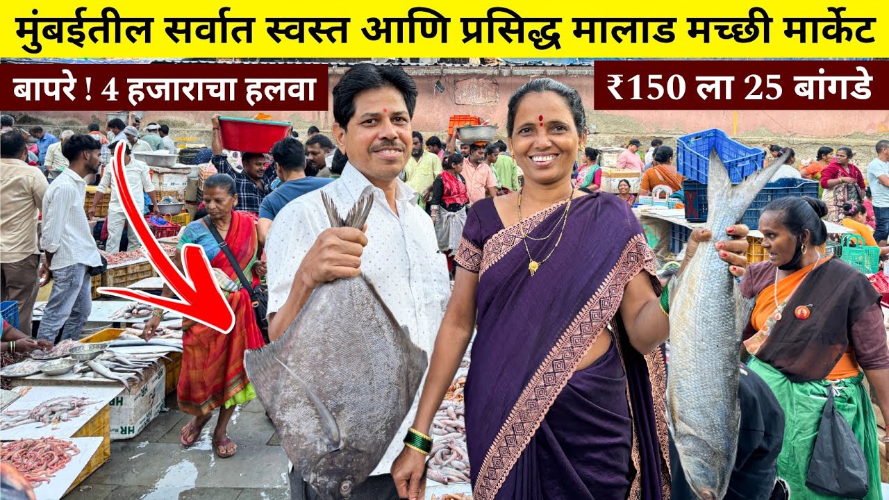 मुंबईतील सर्वात स्वस्त मच्छी मार्केट | मालाड मच्छी मार्केट | मुंबईतील सर्वात स्वस्त मच्छी मार्केट 