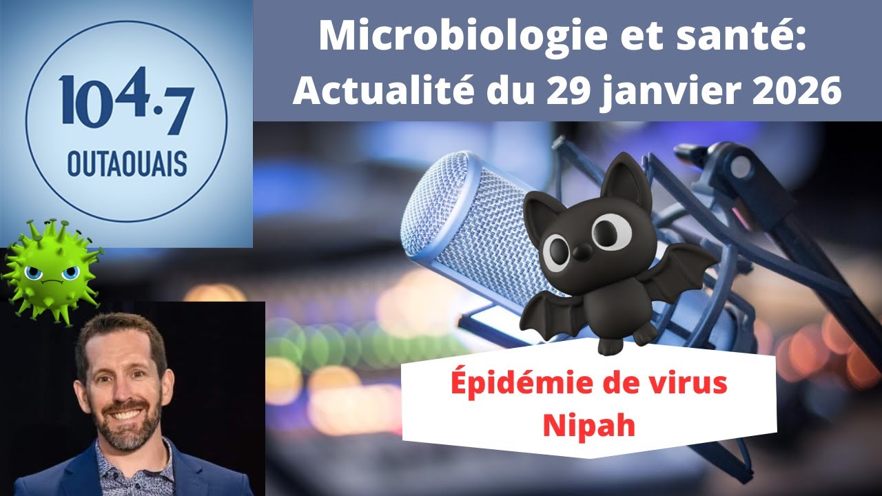 Épidémie de virus Nipah
