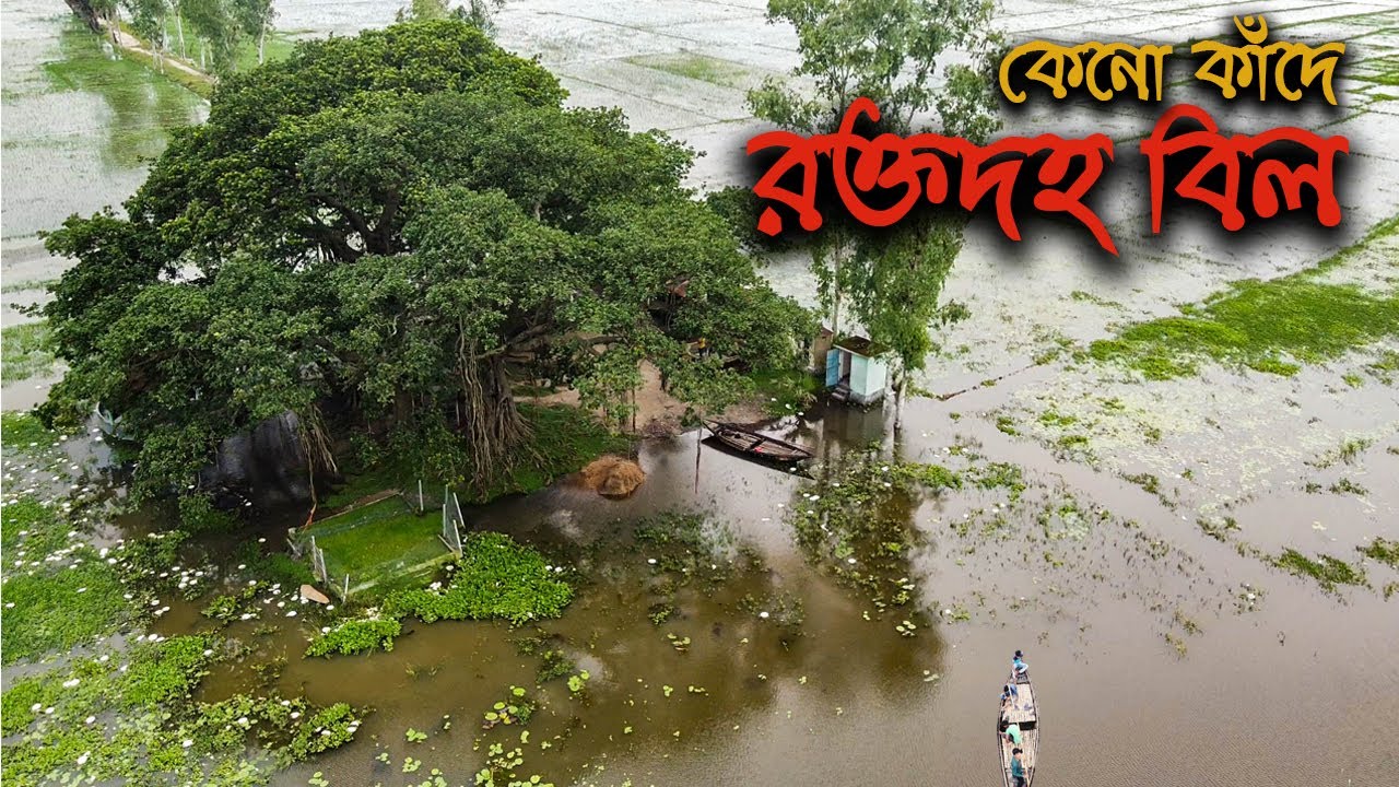 সৌন্দর্যের আড়ালে আন্দোলনের ইতিহাস বহন করছে উত্তরের যে বিল || History of Roktodoho Beel