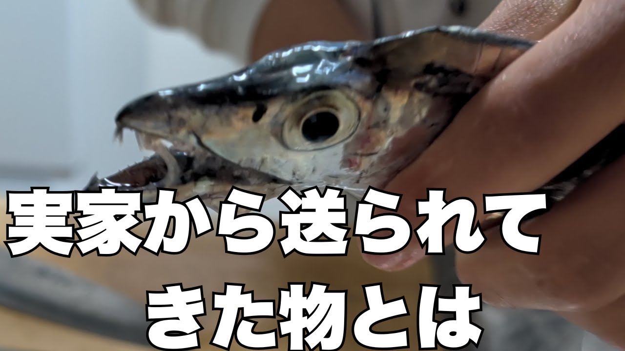 『ギラギラ』銀色が実家から届いた