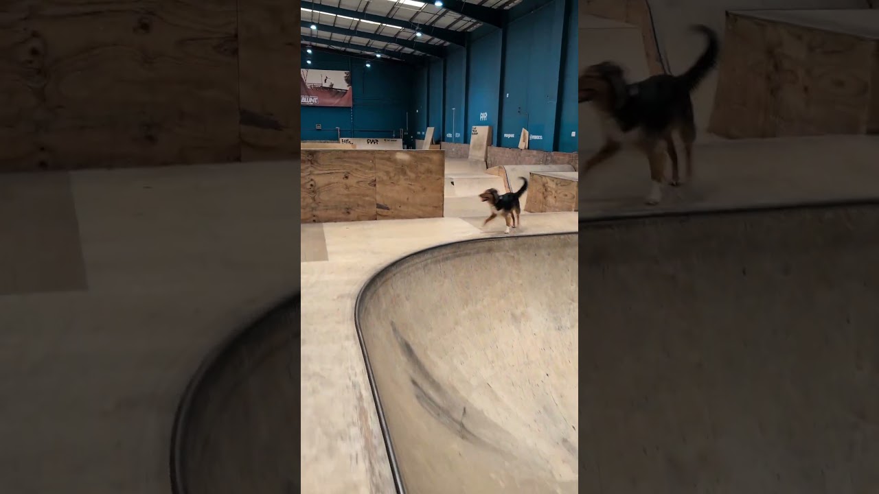 Looking for a quiet place to skate, scoot, or ride? Rampworld Cardiff is open every day!