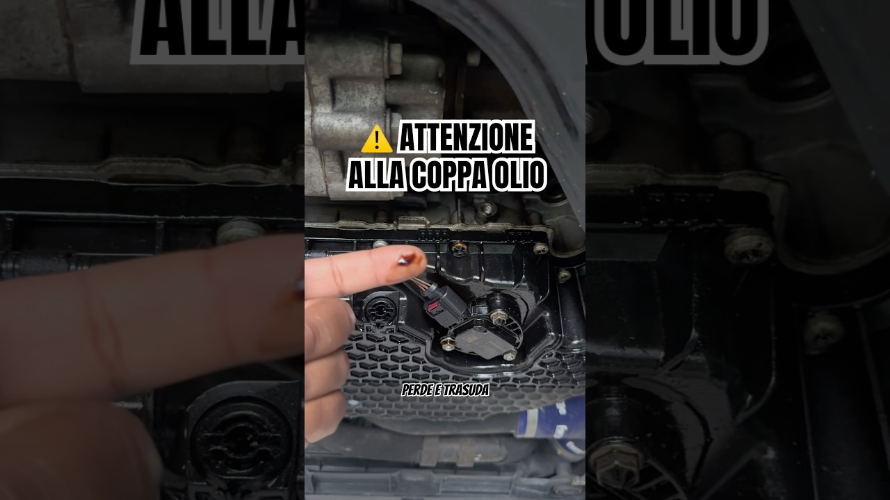 Attenzione alla coppa dell&rsquo;olio su 2.0 TFSI ⚠️⚠️