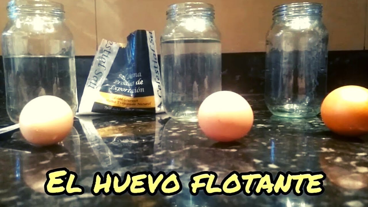 Experimento de Huevo Flotante [Densidad]