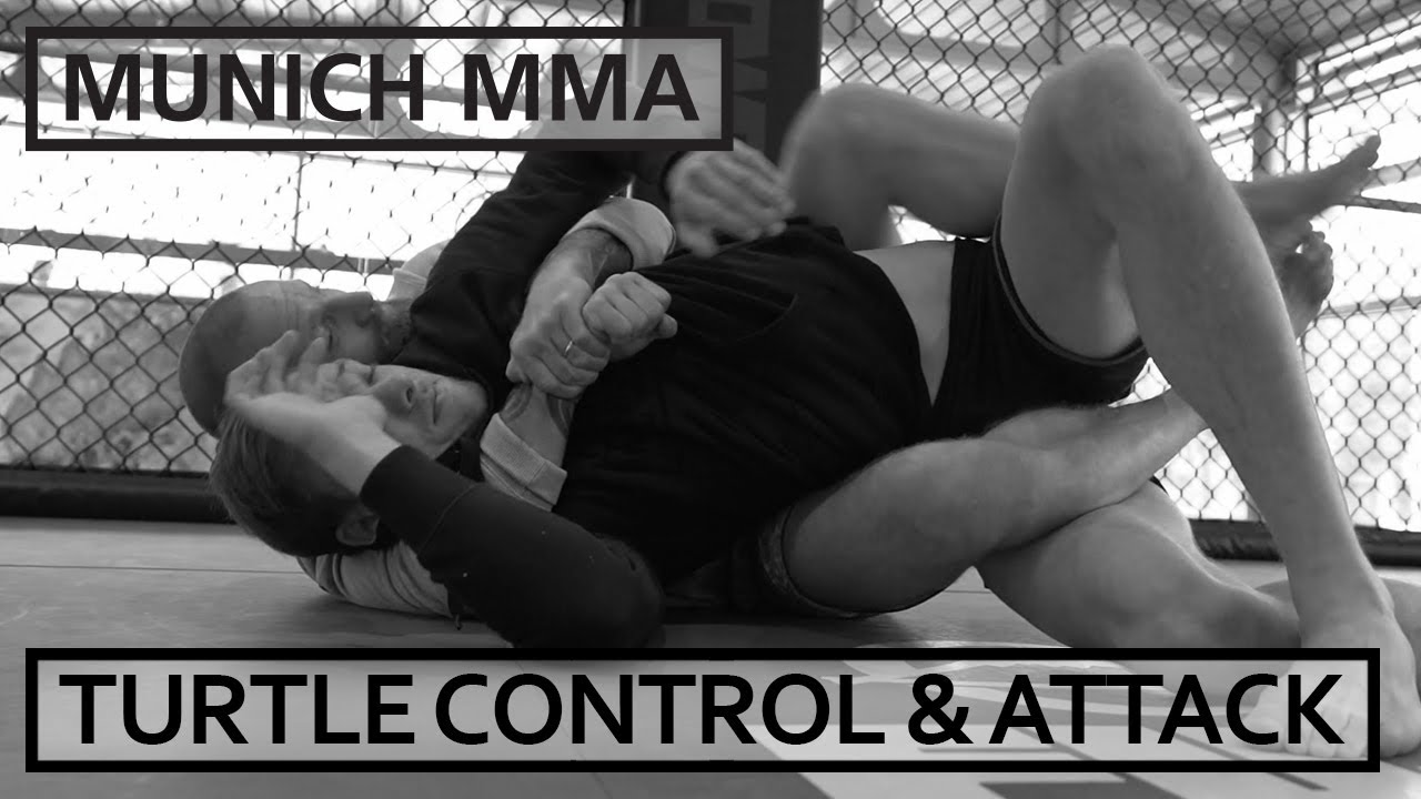 Kontrolle und Angriff der Turtle Position im BJJ und MMA