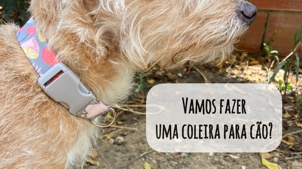 Como fazer uma coleira de cão - passo a passo de costura criativa