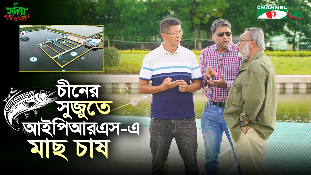 আধুনিক প্রযুক্তিতে মাছ উৎপাদনের নতুন দিগন্ত | IPRS Fish Farming China | Shykh Seraj | Channel i |