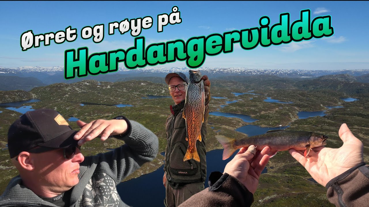 Ørret og røye på Hardangervidda