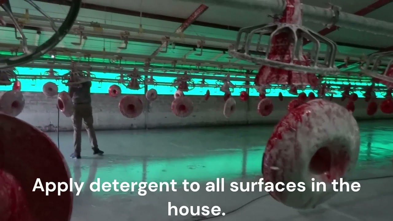 Cleaning and disinfection of houses by DIAG Poultry