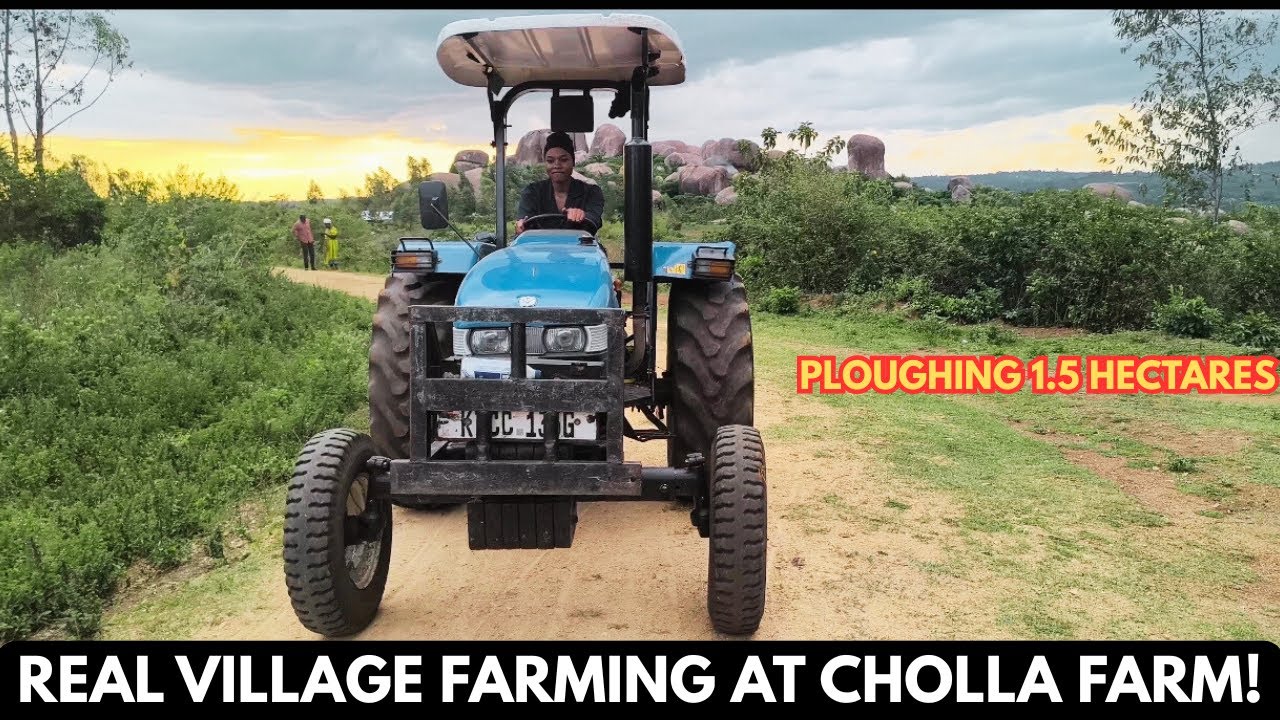 Вспашка 1,5 гектаров трактором | Подготовка земли | Секреты птиц и настоящее сельское хозяйство н...