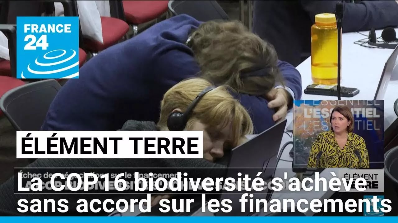 L'&eacute;chec cuisant de la COP16 biodiversit&eacute; consacre une fracture nord-sud &bull; FRANCE 24