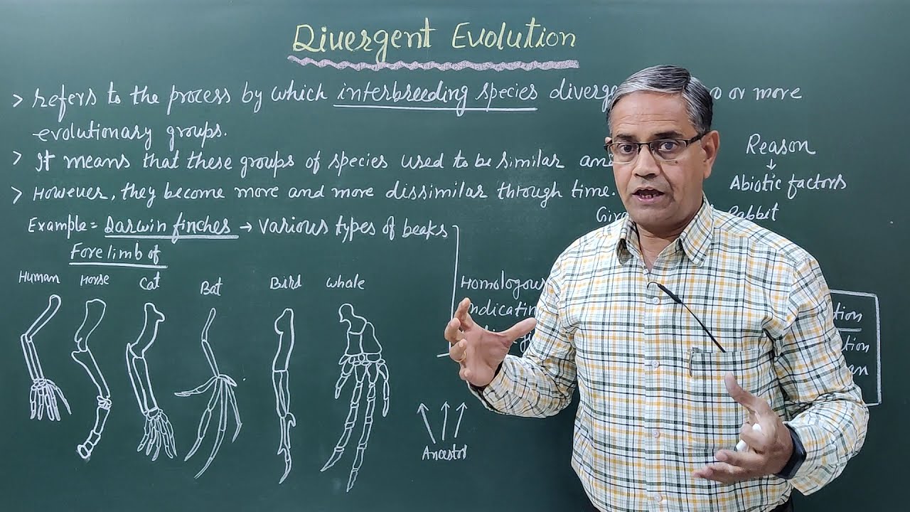 DIVERGENT EVOLUTION
