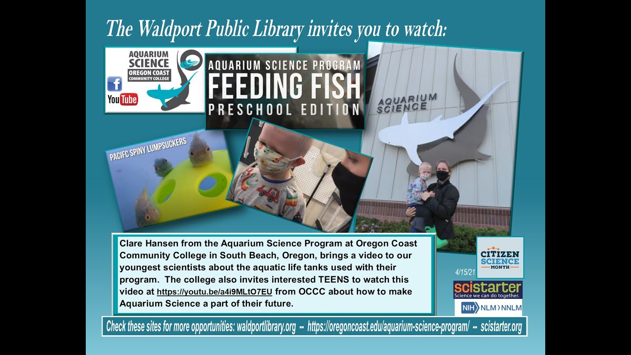 Aquarium Science Program - Feeding Fish Preschool Edition with Clare Hansen and Lorn.