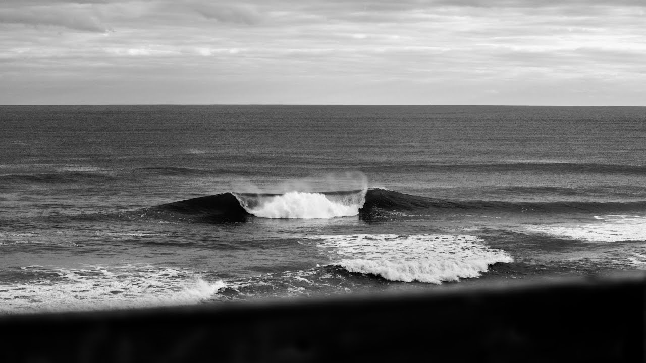 Monsta comp #5