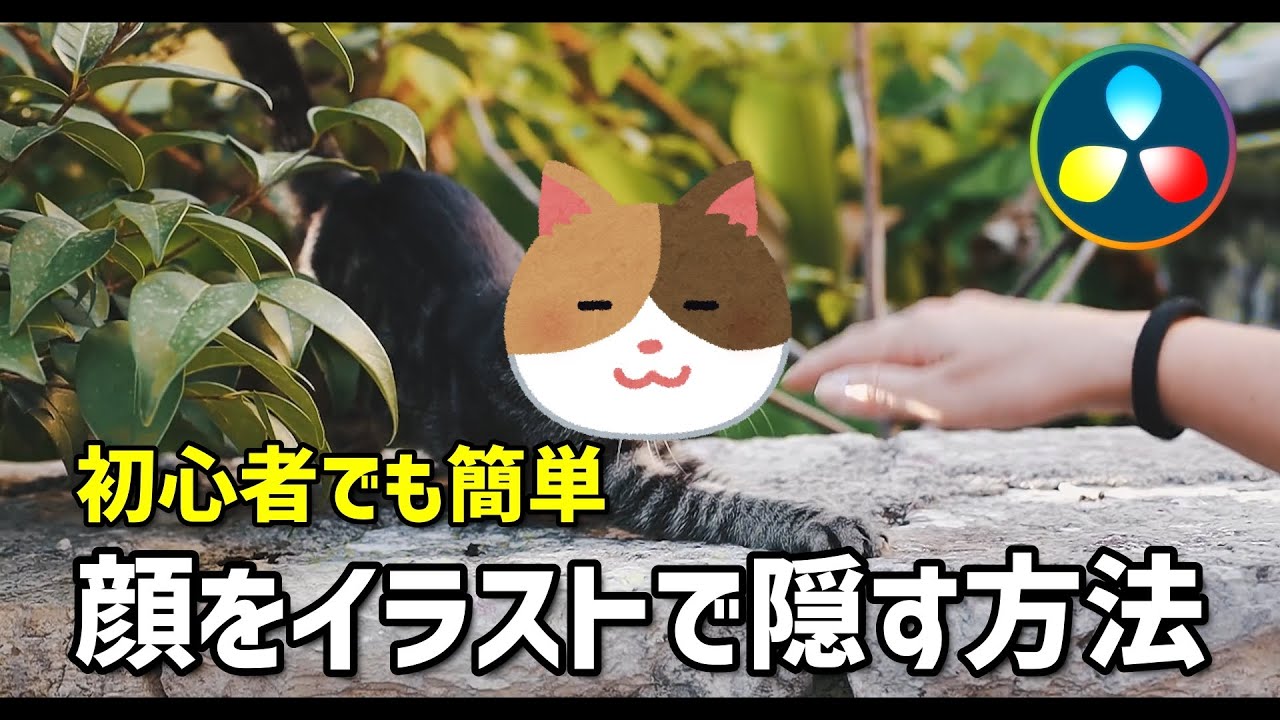 顔を画像で隠す方法＋Fusionトラッカーの使い方【DaVInci Resolve 17/18 無料版 動画編集ソフトチュートリアル】