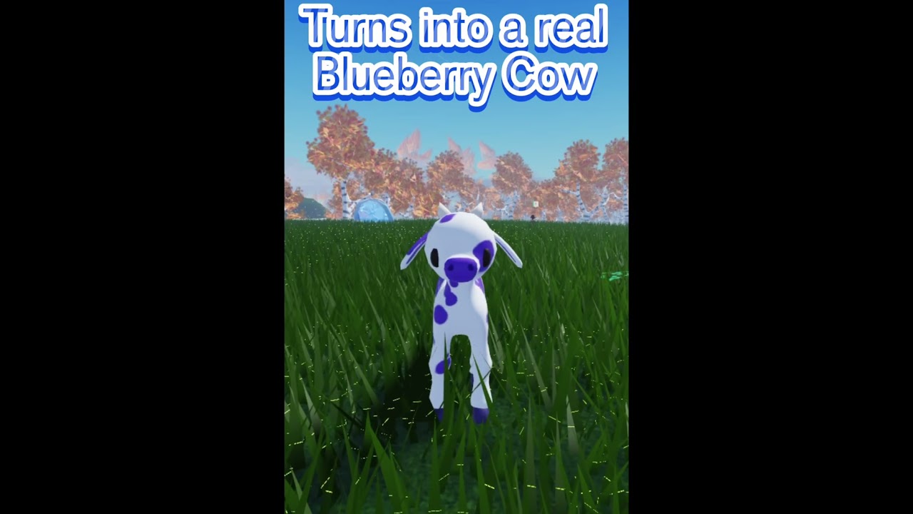 Something random | BlueBerry Cow
