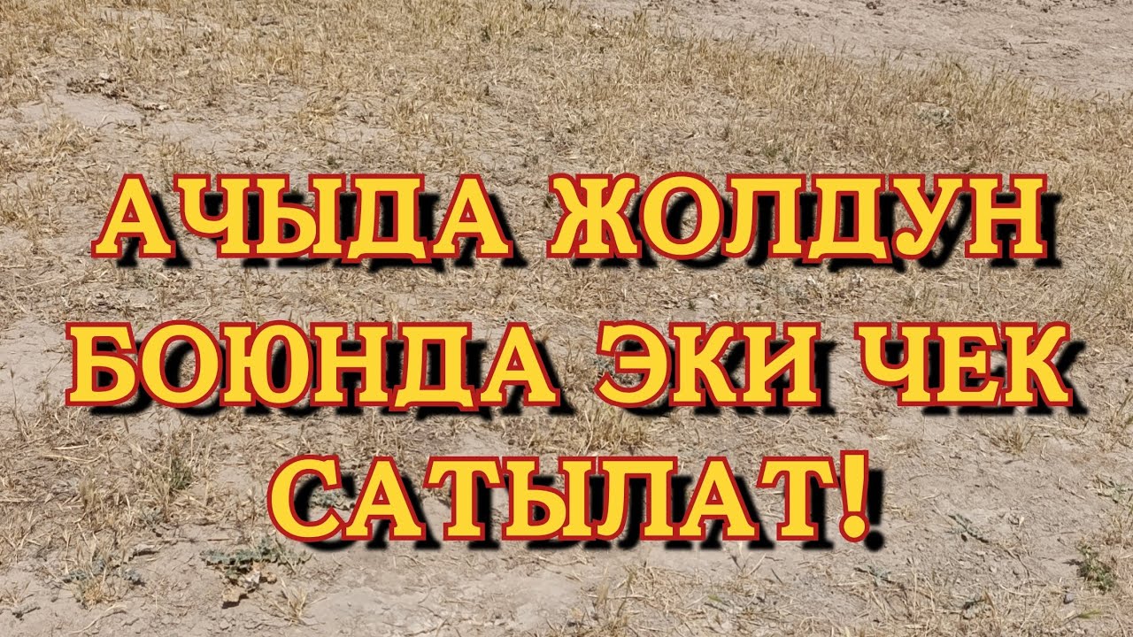 КАРАСУУ РАЙОНУНО КАРАШТУУ АЧЫ АЙЫЛЫНДА ЭКИ ЧЕК САТЫЛАТ!