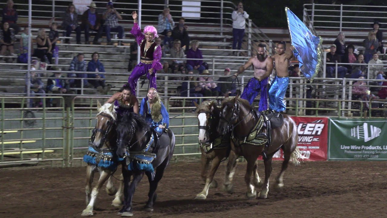 GLADIUS THE SHOW - DRAFT HORSE CLASSIC 2022