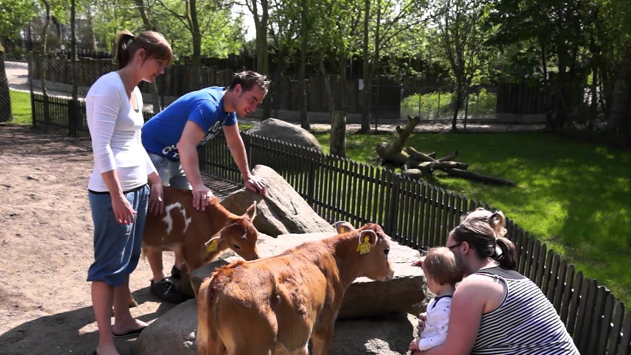 Ida og Liva i Munkholm Zoo